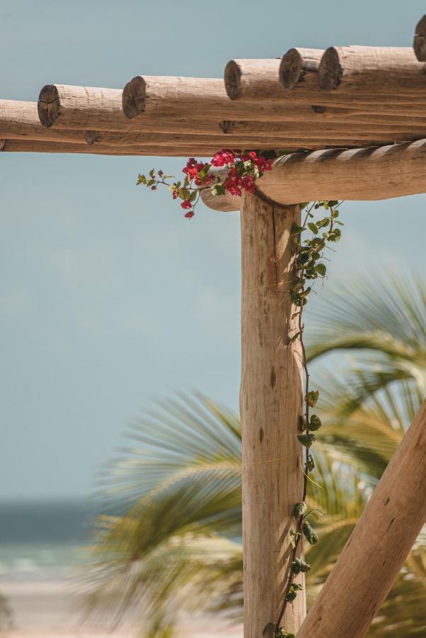 فندق Laventana Tatajuba المظهر الخارجي الصورة